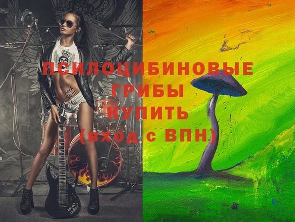 круглые Абаза