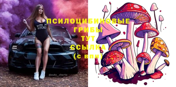 шишки Абдулино