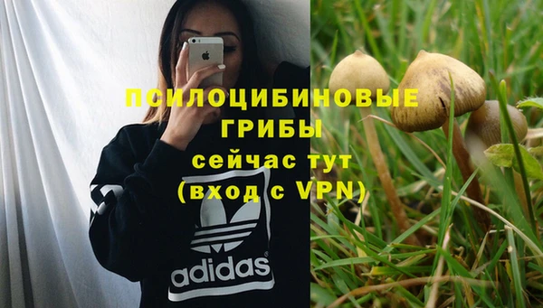 круглые Абаза