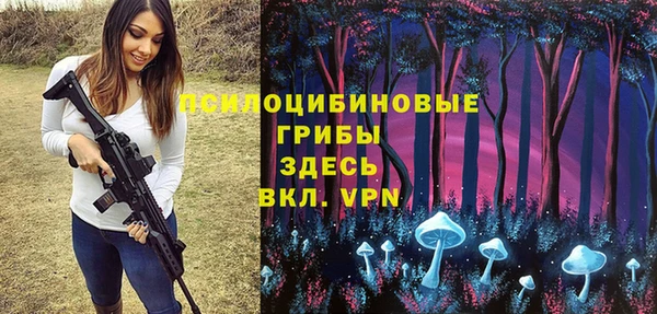 apvp Абинск