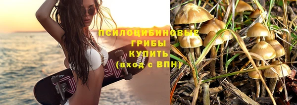 шишки Абдулино