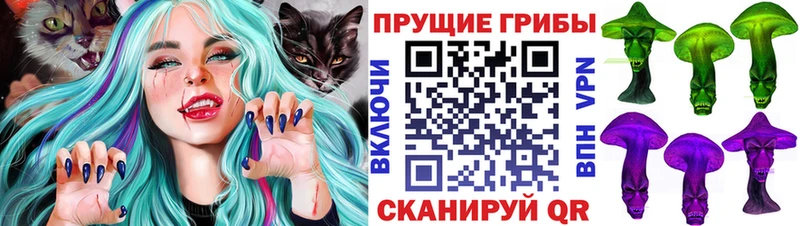 наркота  Суздаль  Галлюциногенные грибы GOLDEN TEACHER 